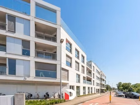 appartement à vendre à sint-kruis € 325.000 (loyxz) - delbecque vastgoed | zimmo