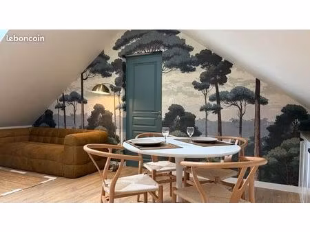 superbe appartement de 60m2 duplex climatisé