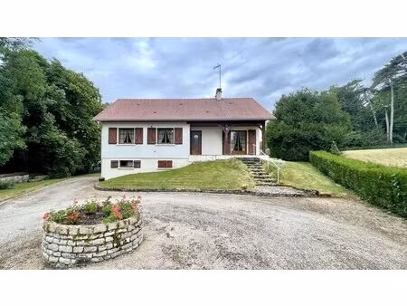 pavillon sur sous-sol avec terrain a brennes