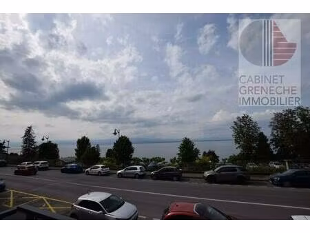 joli 3 pièces  avec vue sur le lac  entièrement meuble avec terrasse et jardin