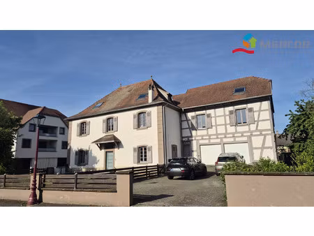 immobilier professionnel à louer holtzheim