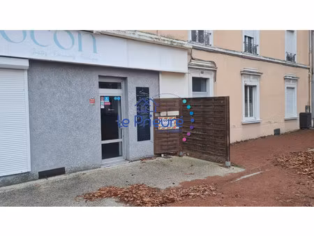 immobilier professionnel à louer roanne