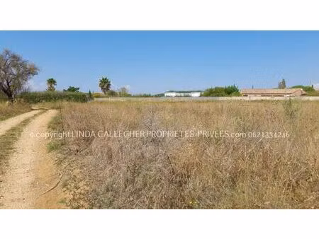 vente terrain pezenas 34120 9343m²