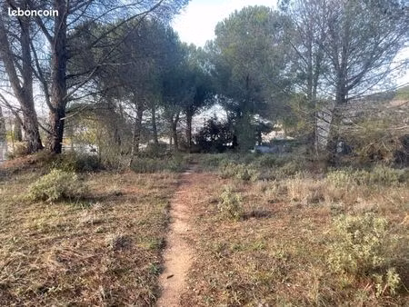 terrain 901 m² alleins