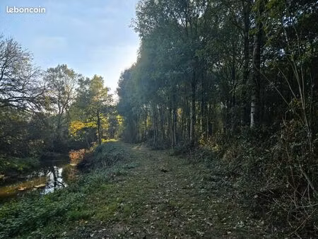 maison 5 pièces 130m2 avec bois