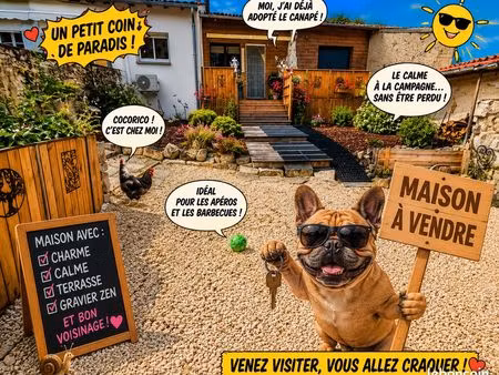vente en viager ou classique (charentaise 160m) idéale pour personnes âgées