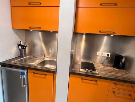 1 pièce · 21 m² · strasbourg 67000 · quai mullenheim