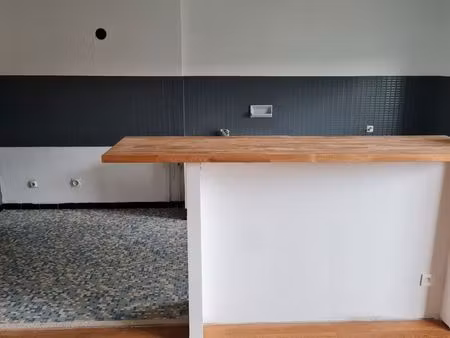 appartement 2 pièces 55m2 saint-étienne la terrasse