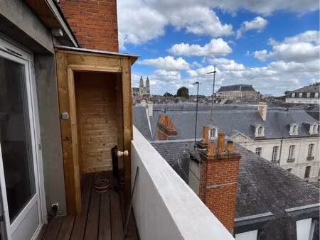 ◊ rare : t2 rénové avec sauna privatif - rue colbert tours