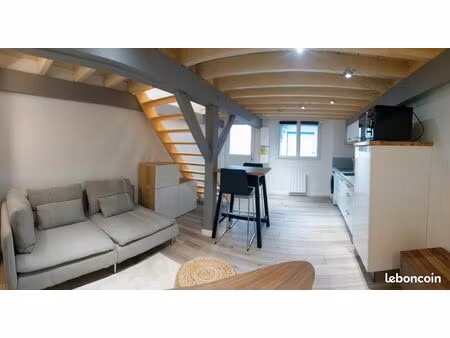 location t1 bis en duplex meublé - place darcy