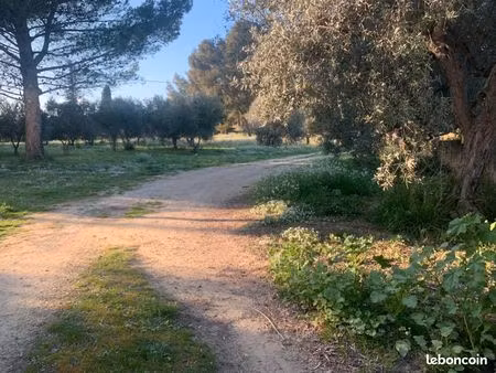terrain 664 m² saint chamas
