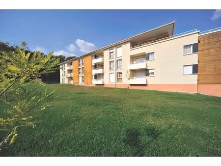 tournefeuille - investissement locatif