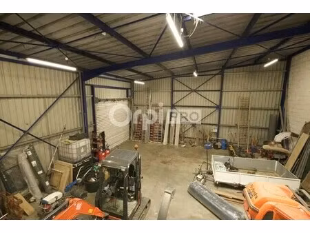 location local d’activités fleurieu sur saone 69250 239m²