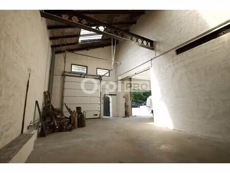 location local d’activités fleurieu sur saone 69250 336m²