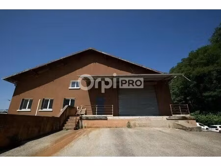 location local d’activités fleurieu sur saone 69250 450m²