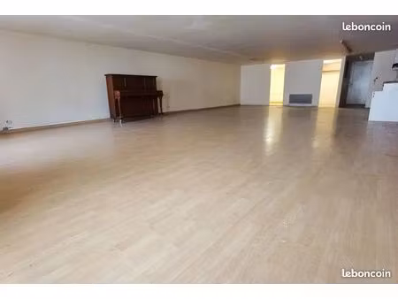 loft 100m2 usage mixte