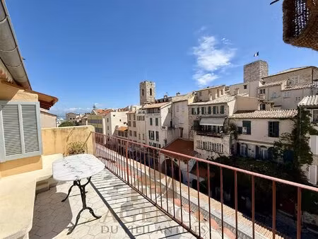 charmant appartement avec terrasse vie mer toit