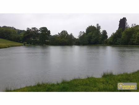 propriete avec 2 etangs a ger