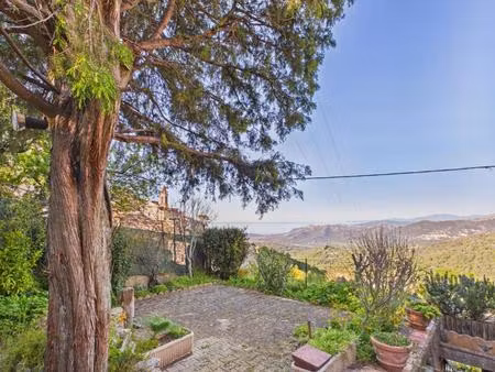 appartement avec jardin et vue panoramique — speloncato