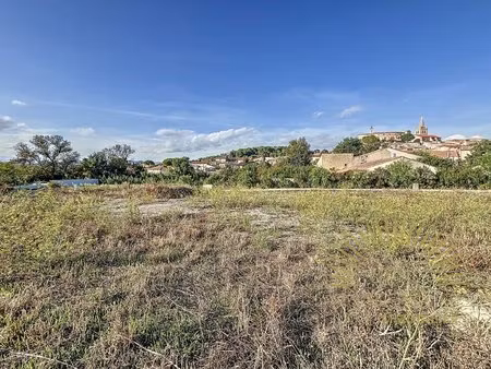 terrain