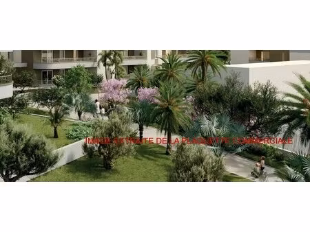 achat : appartement (06800)
