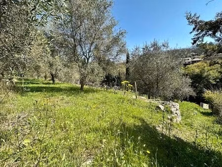 valbonne : terrain constructible