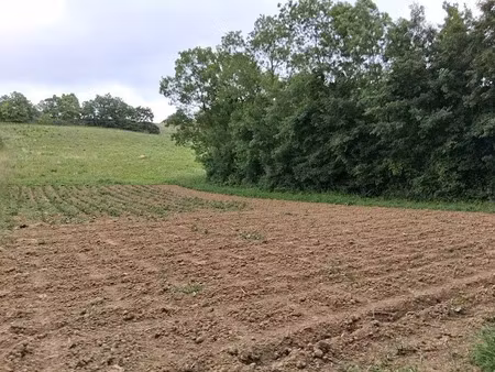terres agricoles