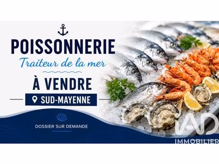 divers commerces à château-gontier (53200)