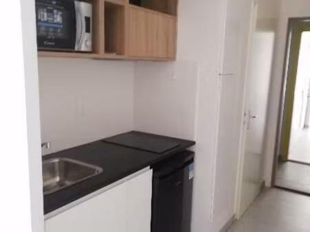 location appartement 1 pièce 20m² lyon 7ème