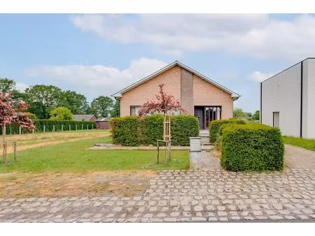 ruime open bebouwing met 5 slaapkamers op een perceel in het landelijke eindhout