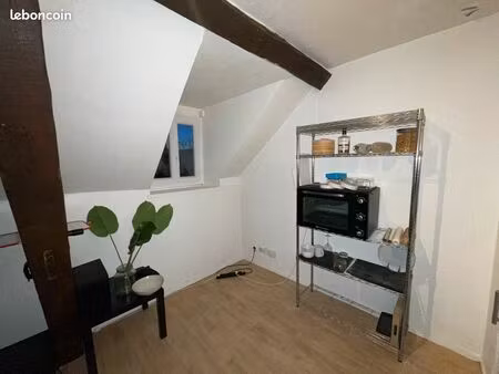appartement 1 pièce  cuisine aménagée