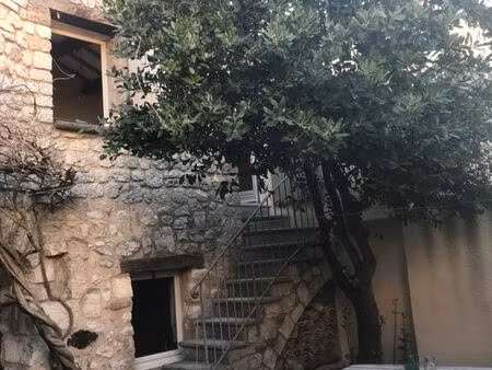 petite maison au cœur de buis les baronnies