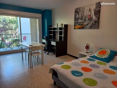 grand studio meuble – tout equipe - terrasse et parking