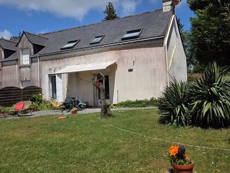 maison avec jardin
