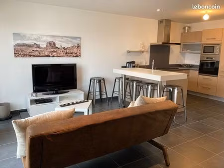 appartement f2 meublé de standing avec grande terrasse  garage et parking privatif