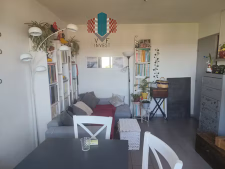 t2  cave  place de parking privative  loggia  investisseur