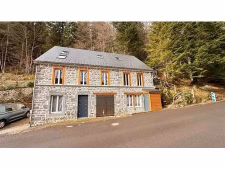 maison de caractère à fort potentiel mont dore 9 pièce(s) 224 m2