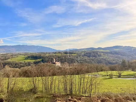 vente terrain