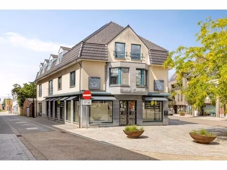 commercieel te koop in beringen