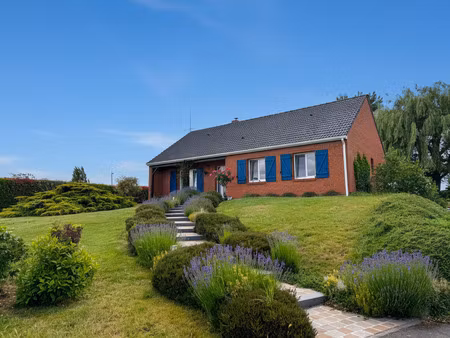 achat maison 5 pièces 125m² oost cappel 59122