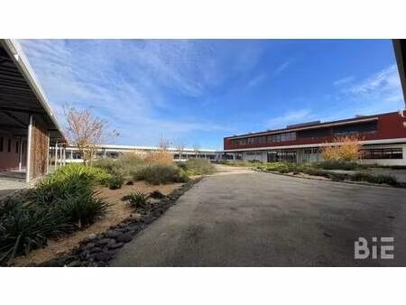 vente local d’activités ibos 65420 1150m² à 7950m²