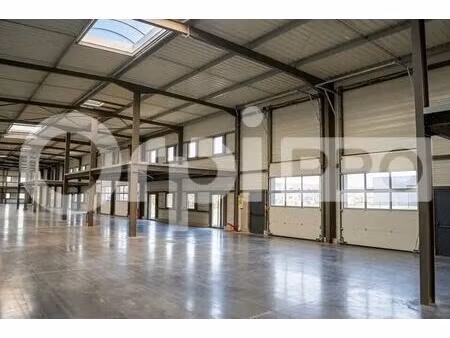 vente local d’activités saint remy 01310 310m²
