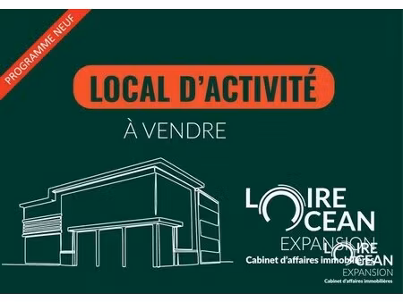 vente local d’activités nantes 44000 300m²