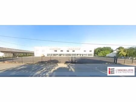 vente local d’activités saint domineuc 35190 2000m²