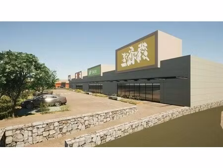 vente commerce pleurtuit 35730 990m²