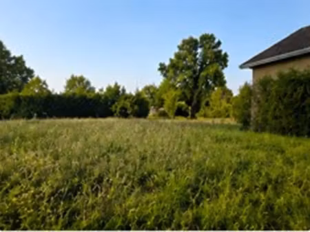 vente terrain 587 m² peujard (33240)
