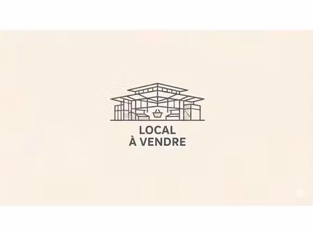 immobilier professionnel à vendre pau