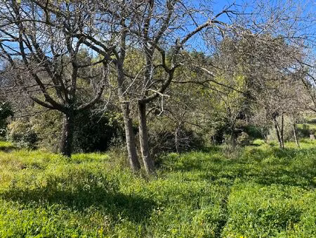 vente terrain à construire 1000 m² roquevaire (13360)