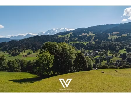 annonce terrain à vendre