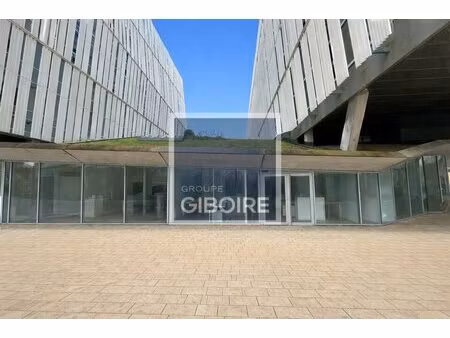 location local professionnel 283m² angers 49000